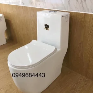 Bàn cầu liền khối 2