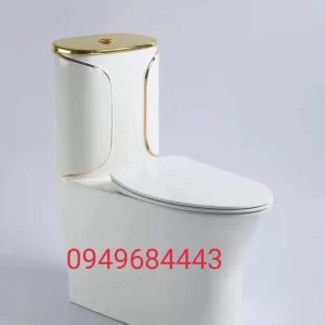 Bàn cầu liền khối 5