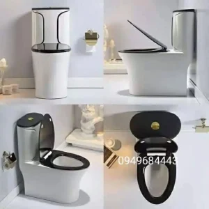 Bàn cầu liền khối 1