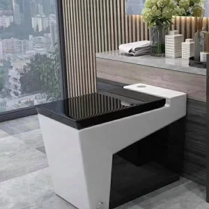 Bàn cầu điện tử 2