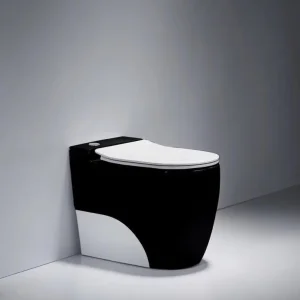 Bàn cầu điện tử 5