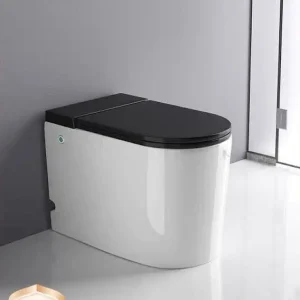 Bàn cầu điện tử 6