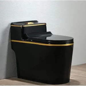 Bàn cầu điện tử 8