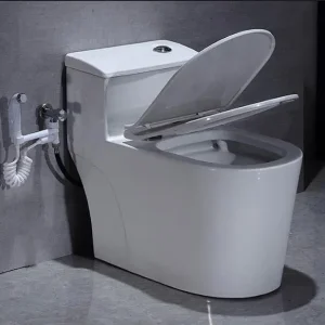 Bàn cầu liền khối 6